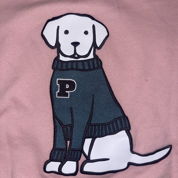 PINK Victoria's Secret Chalk Ross Full Zip Sweatshirt With Dog Embroidered Logo - Picture 5 of 7